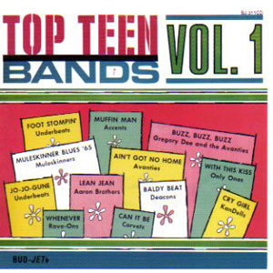 Top Teen Bands Vol. 1