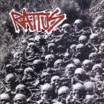 RATTUS, Rattus 