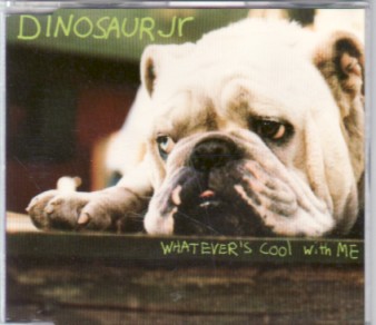 DINOSAUR JR, Whatever's Cool With Me