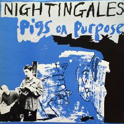 NIGHTINGALES, Pigs On Purpose