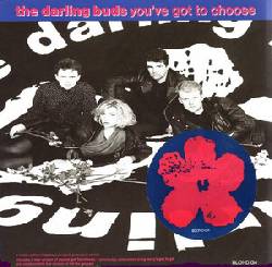 DARLING BUDS, You've Got To Choose