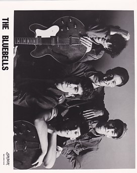 BLUEBELLS, 1982 Press Photo