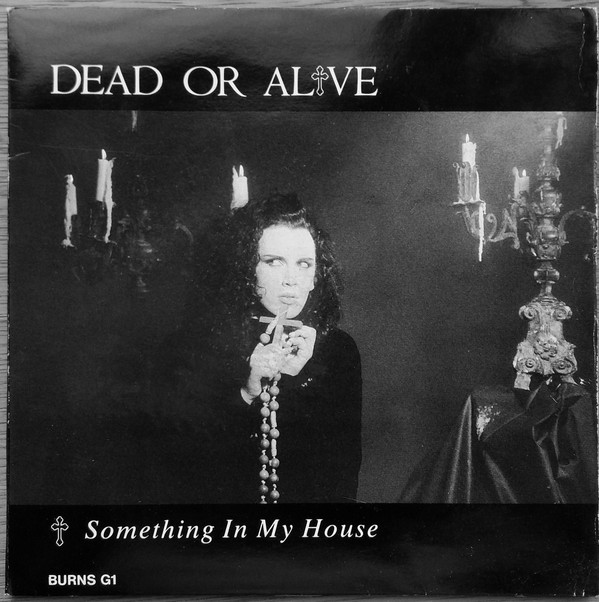 DEAD OR ALIVE, Something In My House