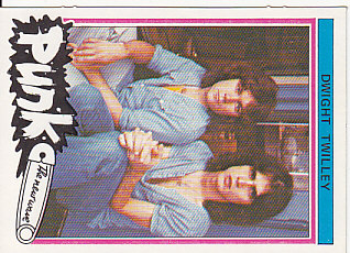 Rare 1977 Punk Bubblegum Card