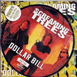 Dollar Bill